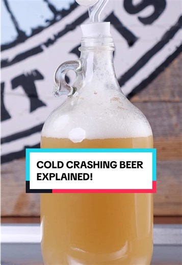What is Cold Crashing? #brewing #beer #beertiktok #homebrew #fermentation