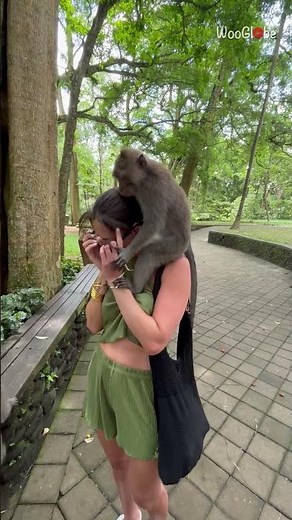 Monkey Attack: Tourist Startled in Bali's Monkey Forest || WooGlobe