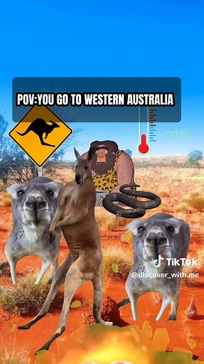 Exploring the Wonders of Australia: A Travel POV