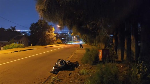 Understanding Sheep Behavior in Farming