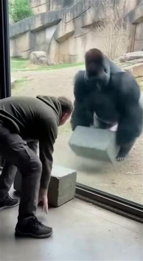 That was a bad idea…