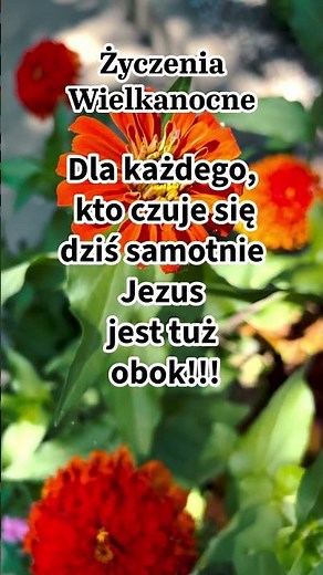 Uścisk: Życzenia Wielkanocne 🤗🫂🙏 #shorts #Bliskość #Wsparcie #Samotność