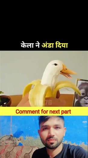 केला ने अंडा दिया 😱😨🤯 #movie #moviereview #facts #explainmovie #movies #film #movieexplainedinhindi