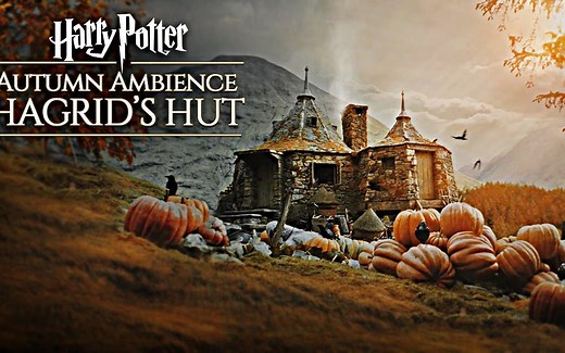 哈利波特｜🍂霍格沃茨的秋天-海格的小屋（秋日氛围/白噪音/ASMR/轻音乐+氛围音/风声/鸟鸣/乌鸦叫声）