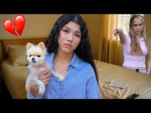 OUR Most Touching Family Reactions | Txunamy