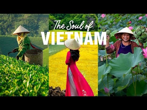Exploring Vietnamese Culture And Traditions #vietnam