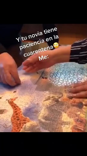 Funny Moments of Jigsaw Puzzle Assembly