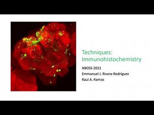 Immunohistochemistry