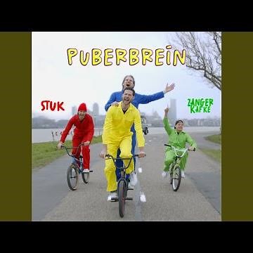 Puberbrein