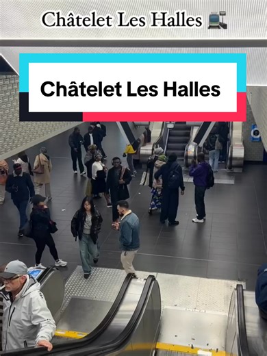 Exploring the Parisian RER A and B Train Experience