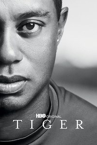 Tiger Summary, Trailer, Season List, Cast, Where to Watch and More