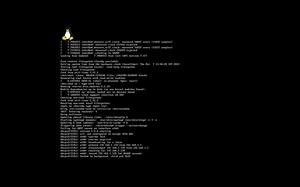 Linux二十年发展史（生肉）