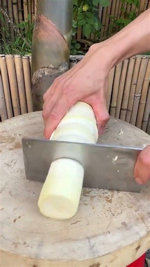 Cutting Bamboo Shoots the Right Way #farming #tutorial #lifehack #secrethacks