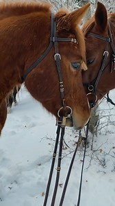 As the year wraps up and the holidays shine bright, we’re taking a moment to reflect—and wow, what a year it’s been! Together, we’ve shared the beauty, adventure, and magic of Bosnia and Herzegovina with the world. This year, your incredible moments, tags, and love have been part of a milestone we’re truly proud of: a total of 80 million impressions across all our channels. That’s 80 million pairs of eyes inspired by the breathtaking landscapes, thrilling adventures, and untold stories that make