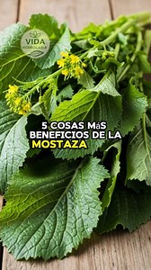 5 Beneficios de la Mostaza #vidaherbolaria #herbolaria #salud #viralvideo #tendencia | Vida Herbolaria