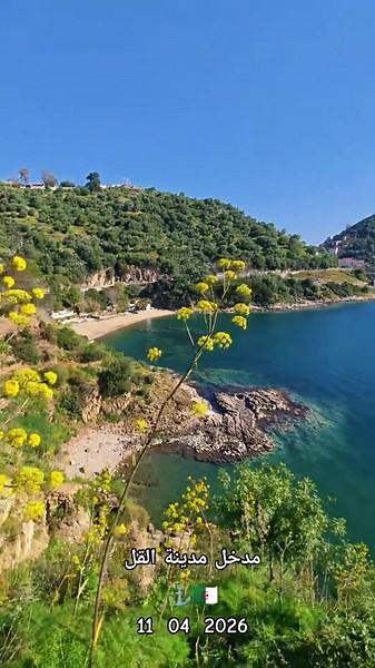 Vidéos de Sofiane collo 21 dz 🇩🇿 (@sofiane.collo.21.dz) avec son original - Sofiane collo 21 dz 🇩🇿