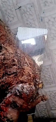 The Saturation of the Void