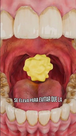 What is the function of your uvula? 🤔