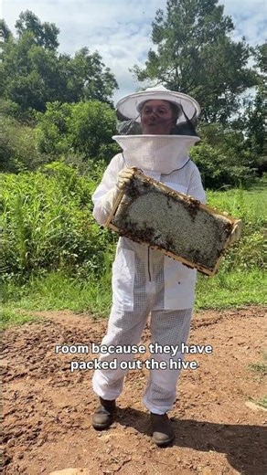Today I visited a local bee farm to learn more about pollinators!
