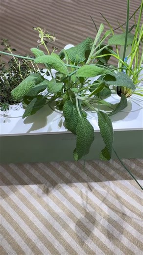 2K views · 5 comments | How much herb butter is too much? Asking for a friend, not because we’re making this sage and chive butter on repeat  杻 Keep your eyes peeled for the next @weckjars x Click & Grow post and our big fall giveaway  PS: @kerrygoldusa can we come on your next brand trip?  | Click & Grow | Facebook