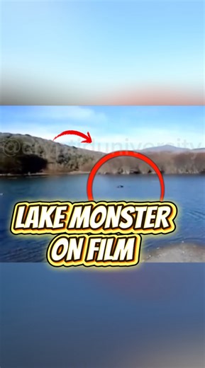 6.6K views · 117 reactions | A reported “Lake Monster” recorded at an undeisclosed location! | Cryptid University | Facebook