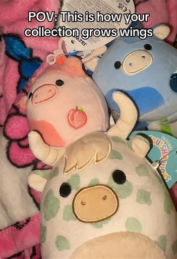 @Squishmallows haul from @owlandgoosegifts #squishmallowhaul #squishmallowcollector #cowsquishmallow #squishmallowsquad #squishmallowcheck