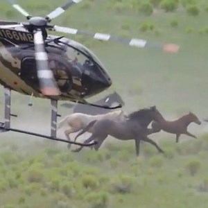 15 reactions · 15 shares | The Bureau of Land Management's (BLM)...