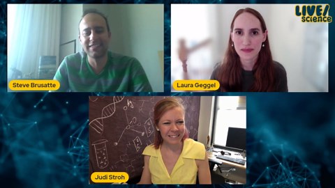 The Rise And Reign of Mammals