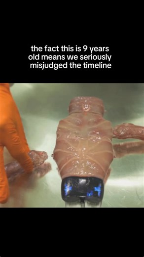 Freedom Briefly on Instagram: "The “meat robot” Oscar, featured in the 2016 sci-fi project The Modular Body, demonstrates how far the future of bio-robotics is ahead of the public imagination. THIS IS CONCEPTUAL (But still disturbing). #ai #robotics #bio #future #technology"