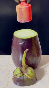 59K views · 372 reactions | Red Hot Calibration Weight vs Eggplant 掠 #calibration #eggplant #asmrsounds #satisfying #experience #experiment | Fire Ball Experiments | Facebook