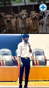 25K views · 1.1K reactions | Animal Birth Control is the only way forward! Humane, legal, and effective! #bluecrossofindia #animalwelfare #adoptdontshop | Blue Cross of India | Facebook