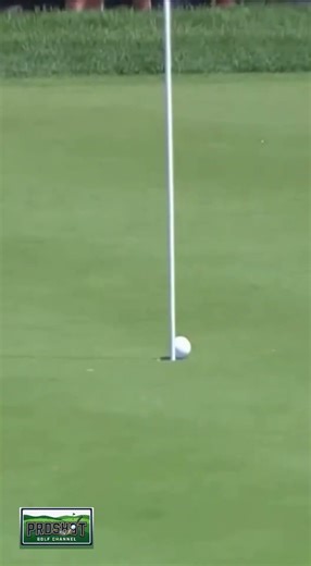 Unbelievable Hole-In-One You Must See! AI 2 #holeinone #golflife
