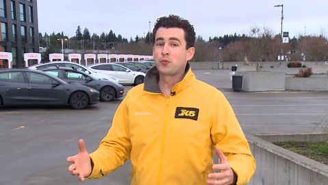 Tesla owners remove logos amid growing backlash against Elon Musk