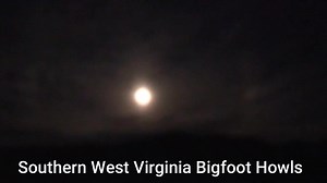 74K views · 1.7K reactions | Bigfoot Howls Bluefield West Virginia #Vocalizations #Creature #Bigfoot #Sasquatch #Yeti #rougarou | Rocky Mountain Sasquatch Organization | Facebook