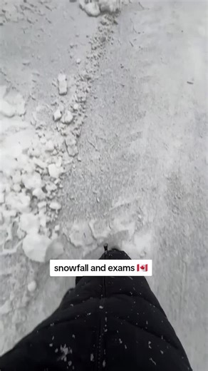 Snowfall and Exams: A Unique Canadian Experience