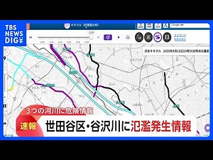 東京都内 谷沢川に氾濫発生情報、丸子川・目黒川・石神井川に氾濫危険情報｜TBS NEWS DIG