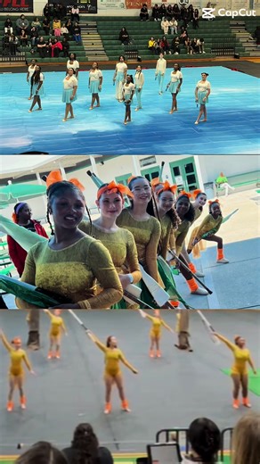 Premier at Lakewood Ranch HS##colorguard##ffcc##winterguard##fyp