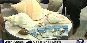 24th Annual Gulf Coast Shell Show