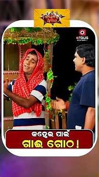 Political Akhada | କହ୍ନେଇ ପାଇଁ ଗାଇ ଗୋଠ !