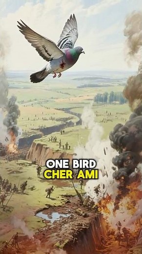 One War Pigeon Saved 200 Lives in WWI
