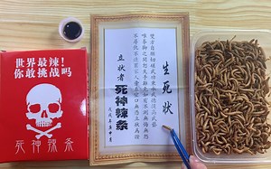 小浪哥将超级辣死神辣条放到1000只顽强的面包虫里，会发生什么