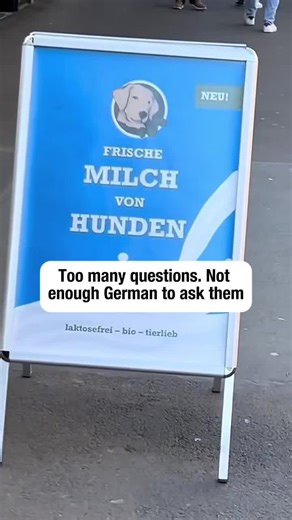 Exploring Dog Milk: Is It Safe for Human Consumption?