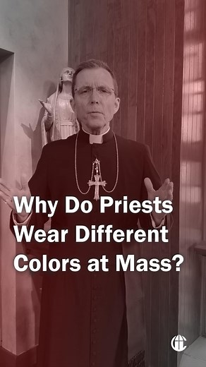 Everything you see at Mass is for a reason! Here’s a quick explanation of liturgical colors worn at Mass. What’s your favorite? Don’t forget that Lent is coming up! We will soon be transitioning from green to violet. | The CatholicTV Network