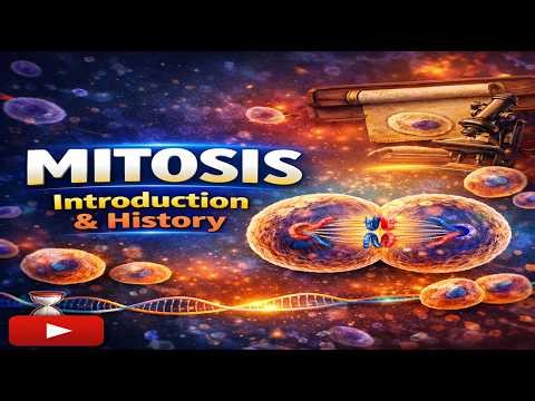 Mitosis Explained | Introduction & History of Cell Division | Biology Lecture