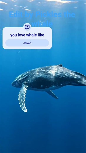 Whales #memes #animation #whales