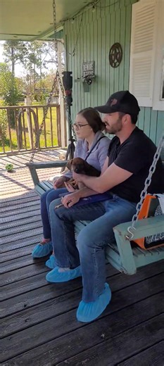 My husband Reb the hound coach gives insight to Bodhi's new family, how the Rhodesian Ridgeback are, from hard wire, to how to socialize the breed etc. huntersonfarms.com | Rhodesian Ridgebacks at Hunterson Farms