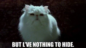 But l've nothing to hide.