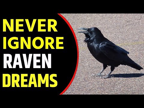 Raven in Dream Meaning | Dream About Raven | Raven Dream Interpretation