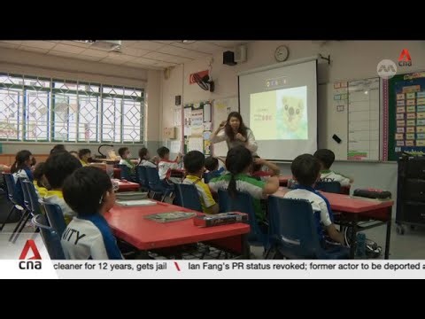 More students seeking help for exam stress, with pressure increasingly self-driven: Psychologists