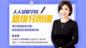 人人都要学的思维导图课：做个聪明的学习者_17、SOP流程管理一张图进行项目管理，全面系统杂而不乱